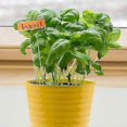 thumbnail image 5 of 10Pcs Garden Potted Flower Arrangement Sign Stainless Steel Sign Plant Nameplate Label Gardening To, 5 of 5