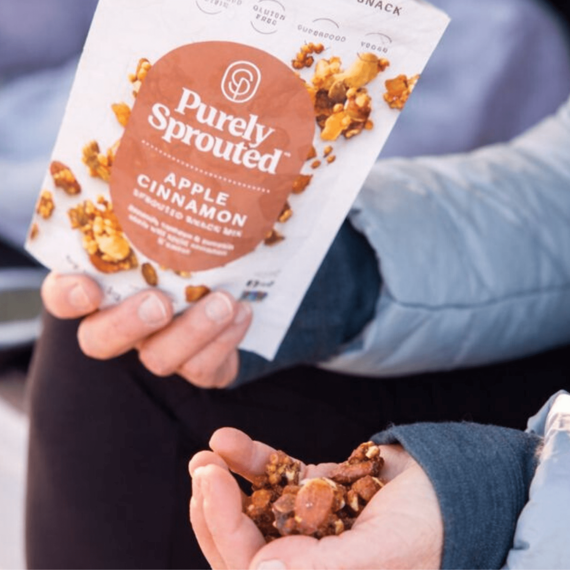 Purely Sprouted Apple Cinnamon Sprouted Nut & Seed Clusters, Non-GMO, 2 Pack, 4 oz