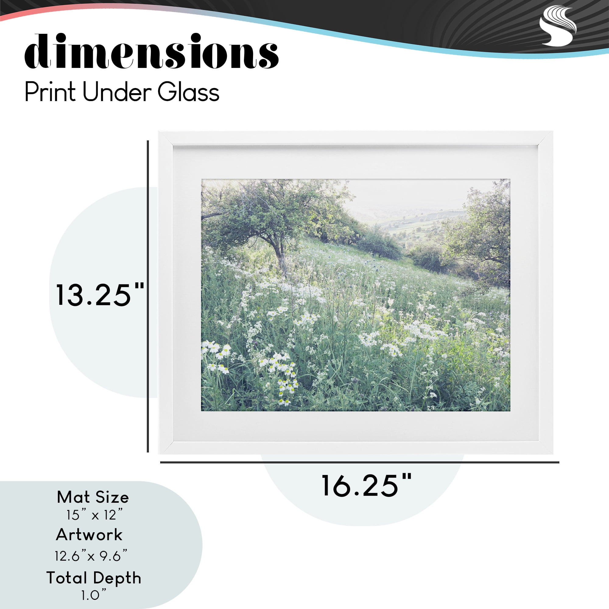 Stupell Industries Sunny Daisies in Meadow White Framed Print Under Glass, design by Leah Straatsma