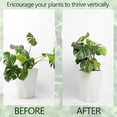 thumbnail image 3 of Garden Stabilizer Vine Clip Holder Sturdy Support For Climbing Easy To Use Clamp Enhance Growth Structure Durable Material 5pc Banana Clip Large Hair Clip Colorful Paper Clips Banana Clips for Short, 3 of 6
