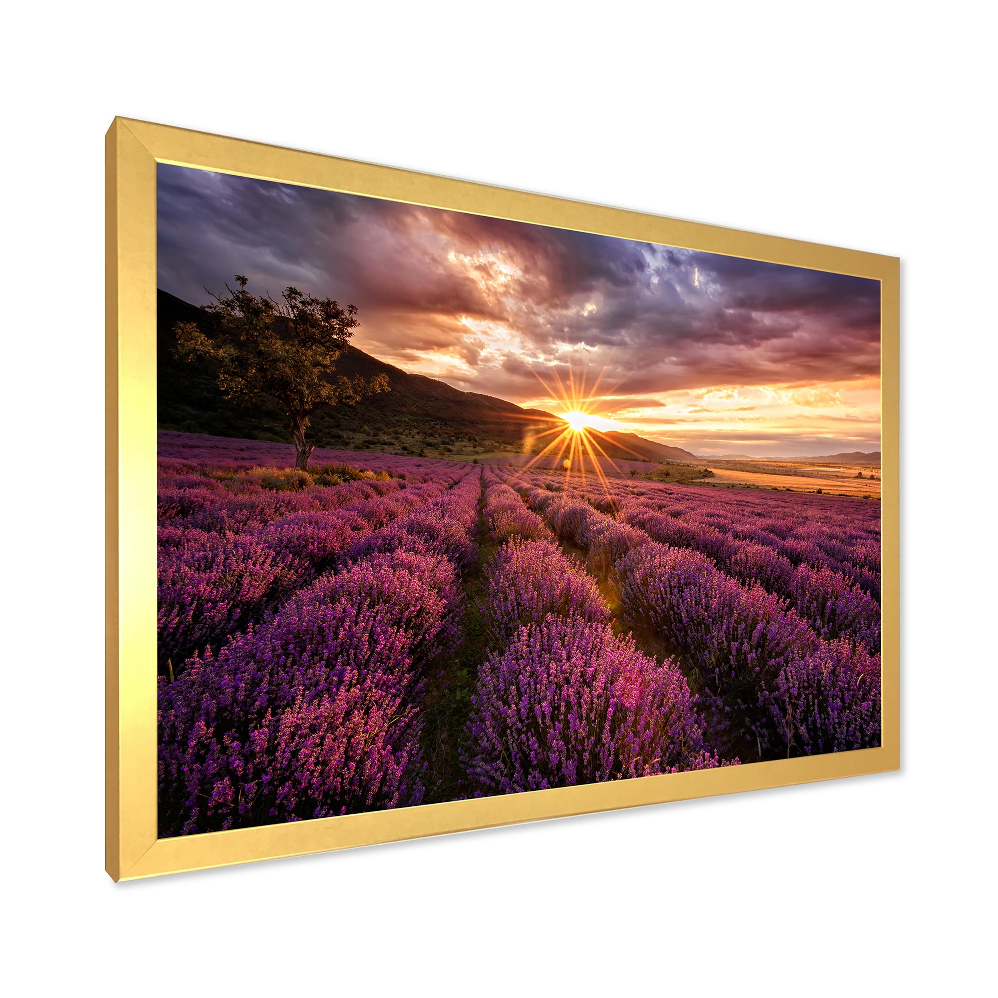 Designart 'Dramatic Clouds and Sunrise Over Lavender Field IV' Farmhouse Framed Art Print