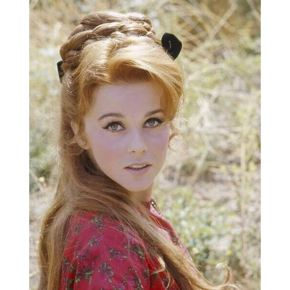 Ann-Margret beautiful 1960's portrait with long blonde hair poster 4x6 photo inches