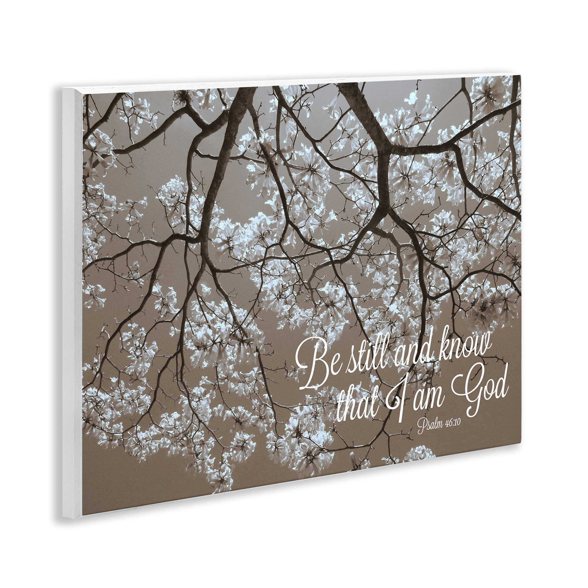Stupell Industries Be Still Apple Blossoms Wall Plaque Art, design by Gail Peck