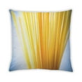 thumbnail image 2 of Ahgly Company Foods Pasta Indoor Throw Pillow, 18 inch by 18 inch, 2 of 6