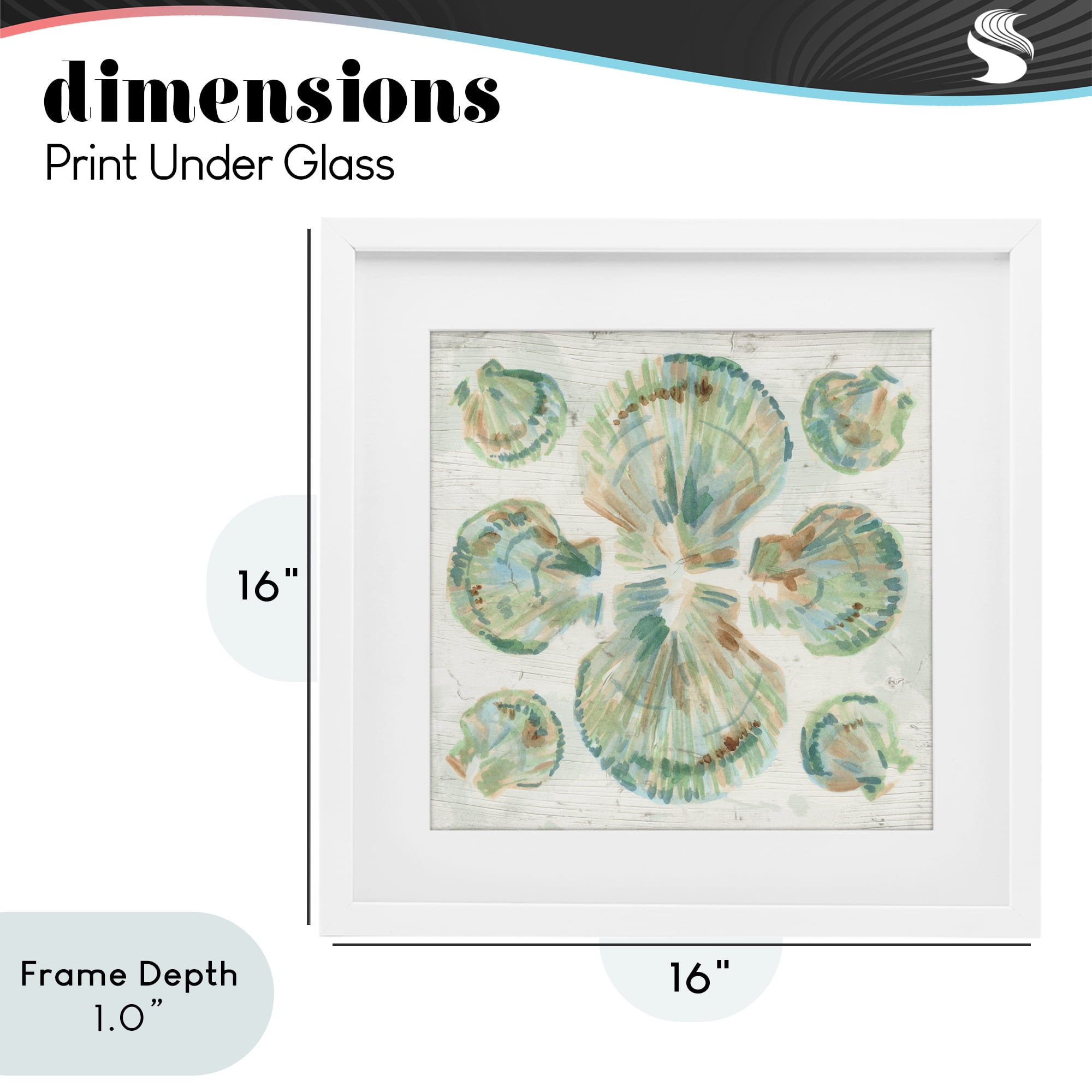 Stupell Industries Saltwashed Shells Symmetry White Framed Print Under Glass, design by June Erica Vess