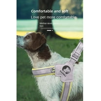 Soft Customized Nylon Dog Harness Adjustable Walking Vest with Anti-Pull Front Clip for Pets (Large), red