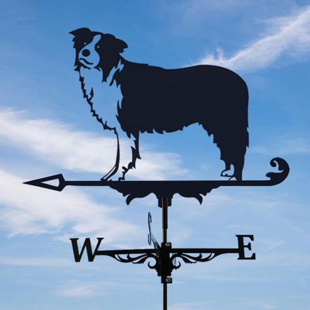 Veleta de acero inoxidable tuilla de amal, práctico indicador de dirección d, adorno de manualidades de estilo d Collies Macarena Veleta