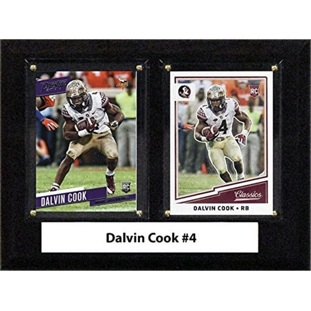 C & I Collectables 68DCOOKCO 6 x 8 Po Dalvin Cook NCAA Florida State Seminoles Deux Cartes Plaque
