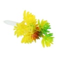 thumbnail image 3 of Plantas suculentas artificiales Uxcell, suculentas falsas, planta sin maceta, suculentas texturizadas realistas, paquete de 4 en amarillo, 3 of 5