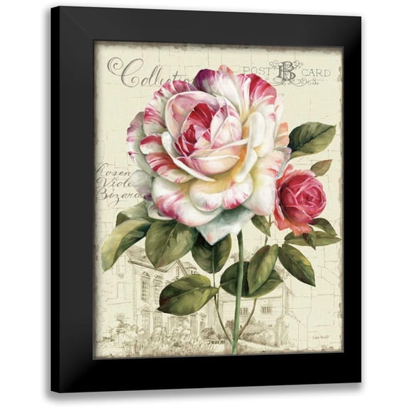 Audit, Lisa 12x14 Black Modern Framed Museum Art Print Titled - Garden View III - Rose