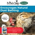 thumbnail image 3 of Progressive Planet Fresh Coop Dust Bath, 6lb Jug - Food-Grade Diatomaceous Earth & Calcium Montmorillonite Clay - Supports Healthy Feathers, Reduces Boredom & Encourages Natural Dust Bathing, 3 of 6
