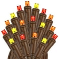 thumbnail image 4 of Novelty Lights 10 Light LED Fall Thanksgiving Mini Light Set, Outdoor Curtain Wreath Craft Bottle String Lights, Yellow/Red/Orange, Non-Connectable, Brown Wire, 5 Feet, 4 of 6