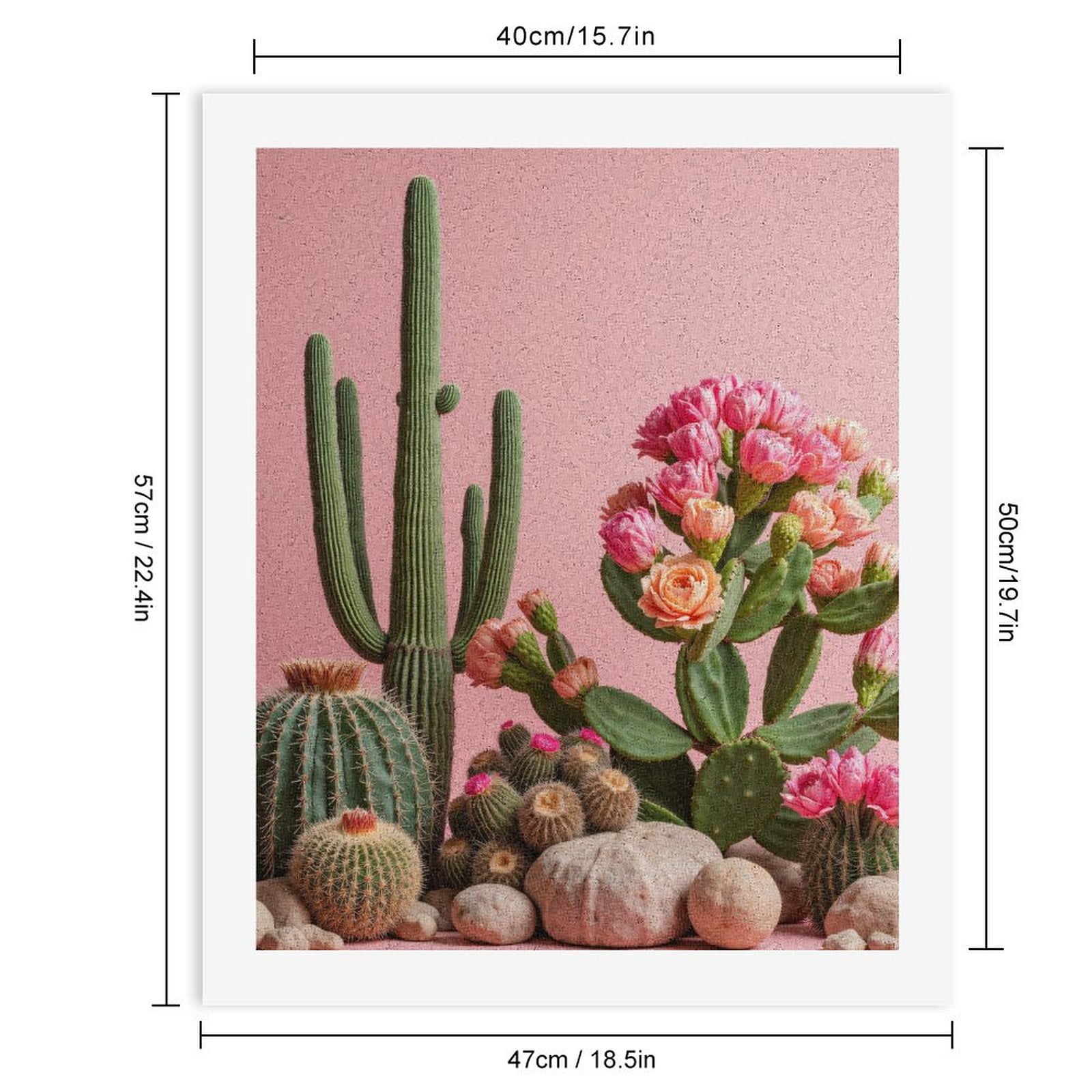 Paint by Numbers Kit for Adults, Pink Cactus Blossoms Desert Rocks Paint by Numbers, Easy Paint by Numbers Kit for Adults Beginner, DIY Adult Paint by Number Kits on Canvas, Home Decor