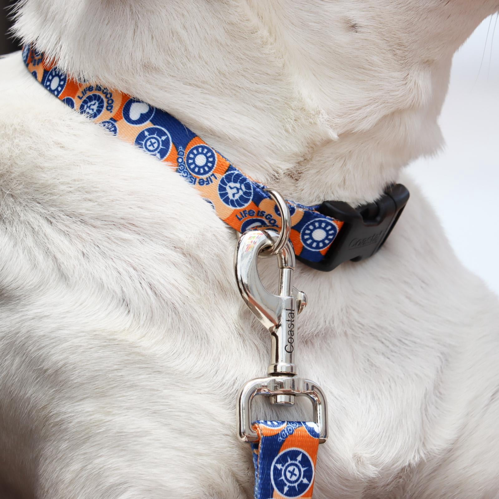 Life is Good® Styles Dog Leash, Pawsitivity, 1" x 04' (Large)