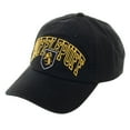 thumbnail image 2 of Harry Potter House Crests Adjustable Snapback Caps (Hufflepuff), 2 of 4