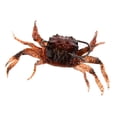 thumbnail image 3 of Señuelo de imitación 3D de 10cm, aparejos de pesca, anzuelo de cebo realista, señuelo de equipo Zulema  Señuelo de pesca, 3 of 8