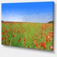 thumbnail image 2 of Poppy Meadow Panorama - Landscape Canvas Art Print, 2 of 4
