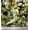 Forest Green, variant on Soimoi Cotton Duck Fabric Two Tone With White Camouflage Printed Craft Fabric by the Yard 42 Inch Wide