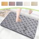 thumbnail image 1 of Alfombrilla de baño antideslizante absorbente de agua | Superficie de microfibra de terciopelo suave | Relleno ligero de espuma de poliuretano | Lavable a máquina | 15,74 x 23,62 pulgadas |, 1 of 5