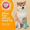 thumbnail image 5 of Arm & Hammer Tools 7.5" Wood Mix Paintbrush Durable Dental Dog Chew Toy, 5 of 9