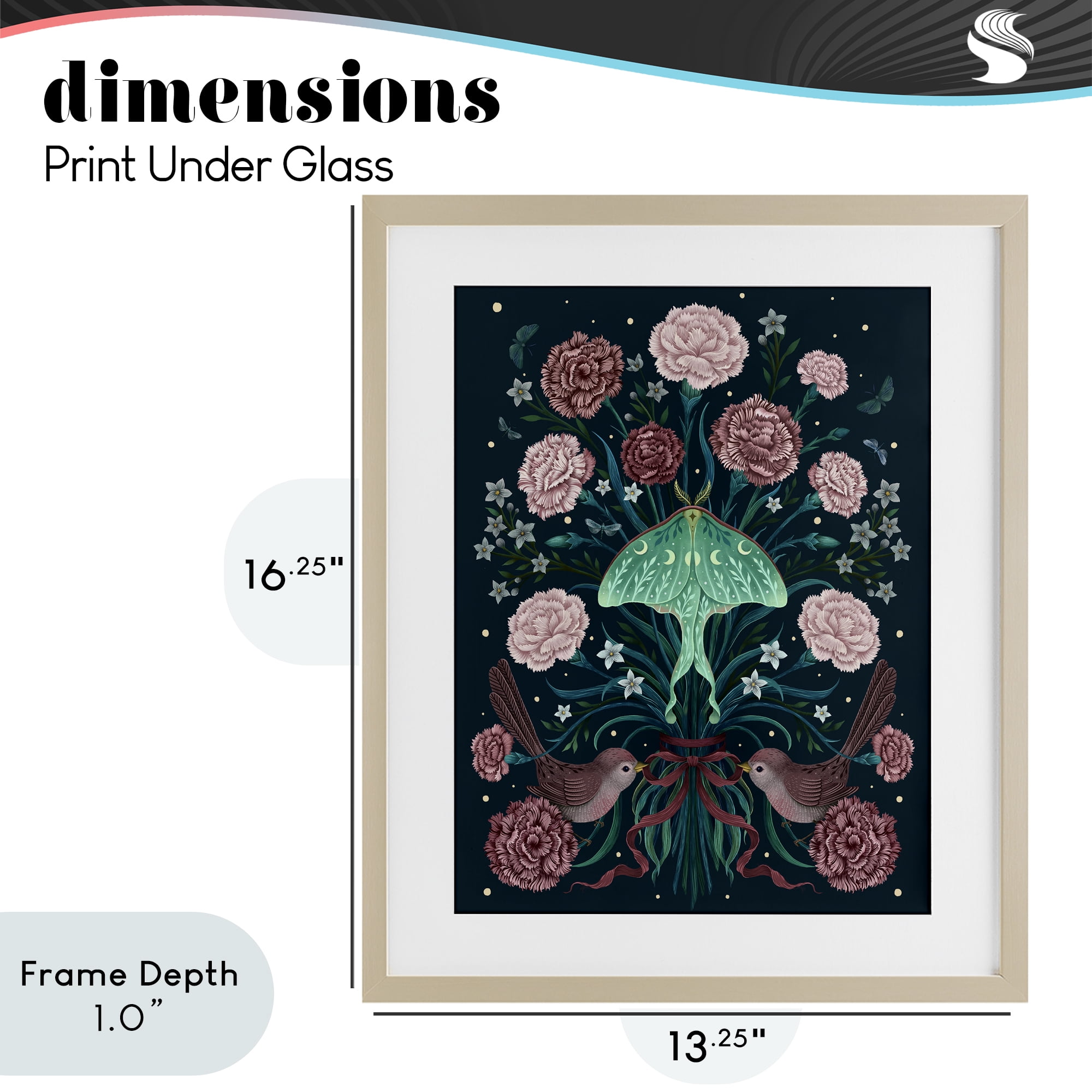 Stupell Industries January Carnations & Moth Birch Framed Print Under Glass, design by Episodic Drawings