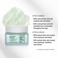 thumbnail image 2 of Urban Calm Barrier Cream Hydrating Face Moisturizer for Dry, Sensitive & Aging Skin with Hyaluronic Acid & Fermented Honeybush 1.69 Fl Oz, 2 of 10