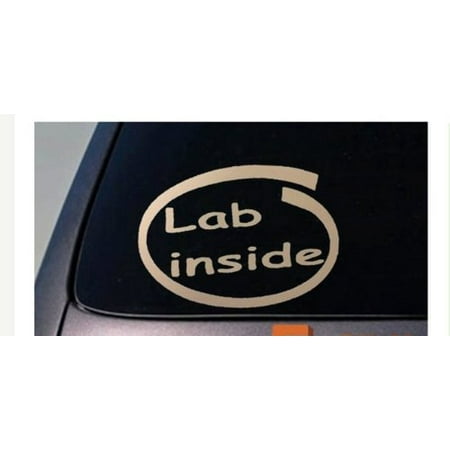 Labrador Retriever Lab Decal Sticker Car Window 6