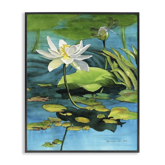 Stupell Industries Coastal Pond Lotus & Dragonfly Black Framed Giclee Art, 11 x 14, by Christine Reichow