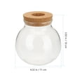 thumbnail image 4 of HLONK Hydroponic Glass Bottle Water Planting Terrarium Tabletop Vase Monstera Pot Potted, 4 of 6