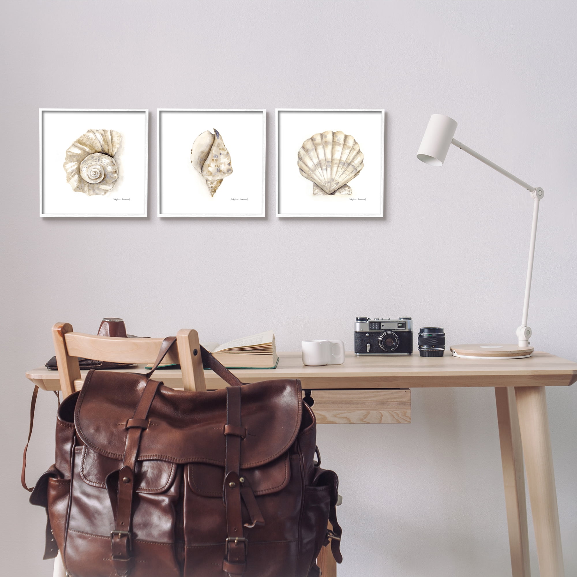 Stupell Industries Soft White Patterned Seashells Nautical Natural Neutrals, 12 x 12,Design by Stephanie Workman Marrott