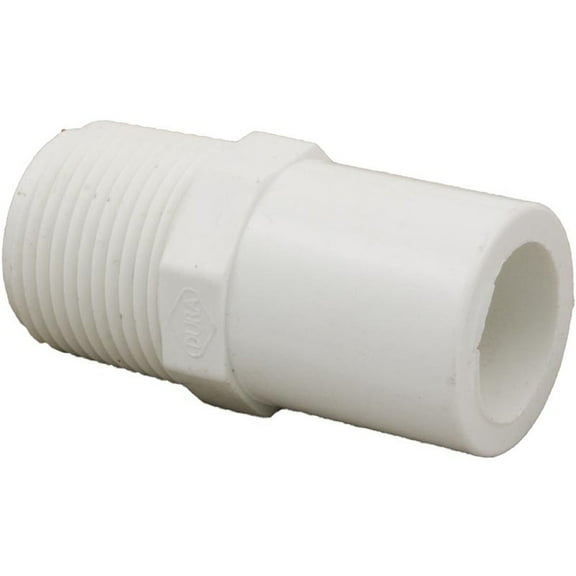 Adapter, 3/4" Spigot x 3/4" Male Pipe Thread