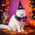 thumbnail image 5 of Halloween Pet Bandana and Hat Set for Cats and Dogs 2-Piece Saliva-Catching Party Photo Prop, 5 of 6