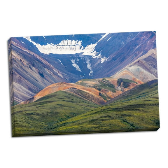 Gango Home Decor Danali National Park II by Kathy Mahan (Ready to Hang); One 36x24in Hand-Stretched Canvas