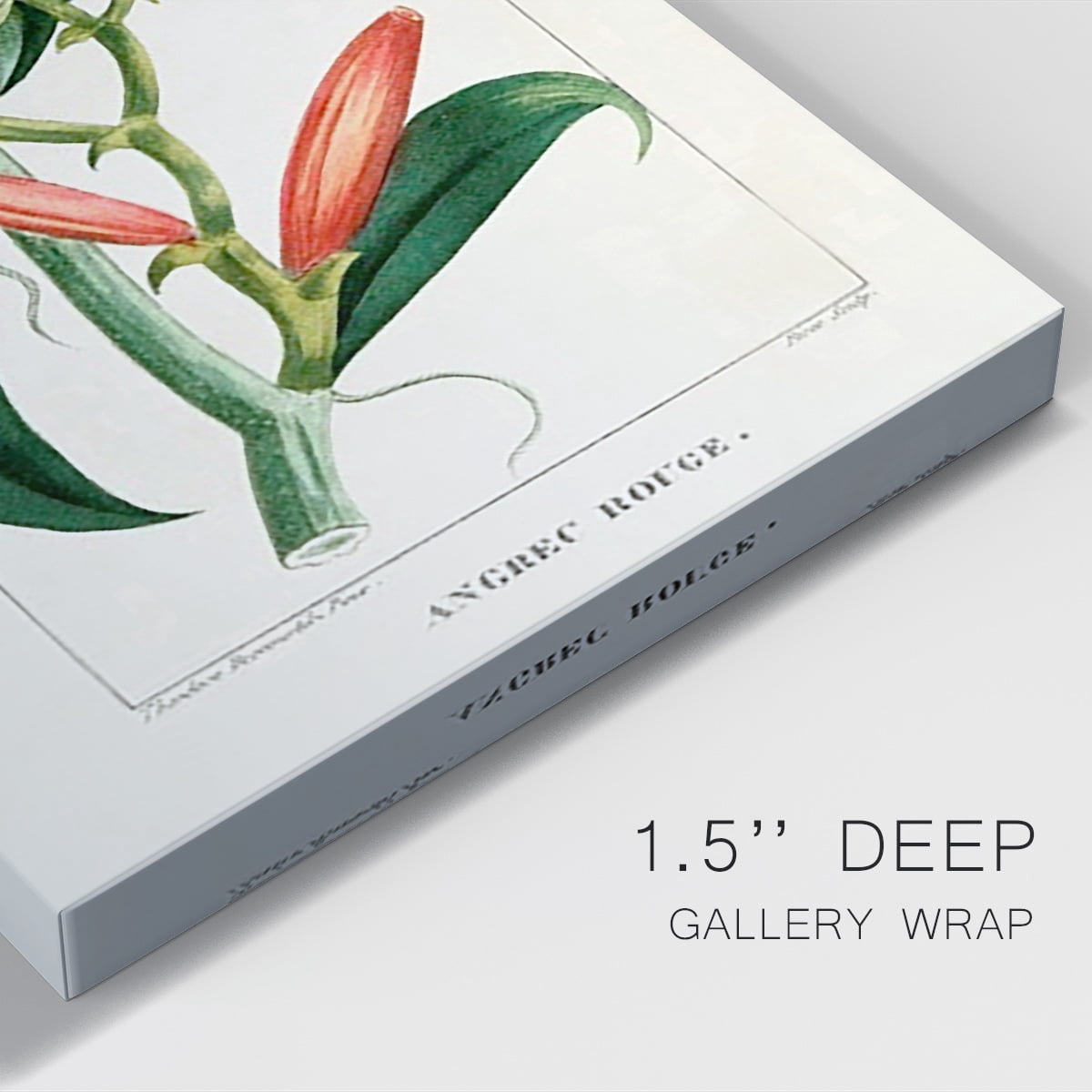Turpin Tropical Botanicals IX Premium Gallery Wrapped Canvas - Ready to Hang