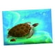 thumbnail image 3 of Tortuga acuario fondo cartel pecera decoración paisaje 61X41cm Yuyangstore Fondo de pecera Pegatina, 3 of 8