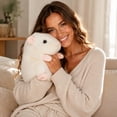 thumbnail image 3 of YAMB Chipmunk Plush Doll, Cute Realistic Animal Shaped Stuffed Dolls, Soft and Comfortable Hugging Companion, Breathable Skin-Friendly Internal Filling Plushies for Home Bedroom Sofa Decor, 3 of 9