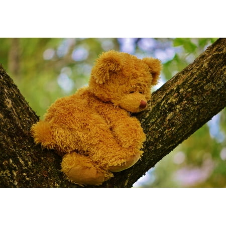 laminated poster cute bear