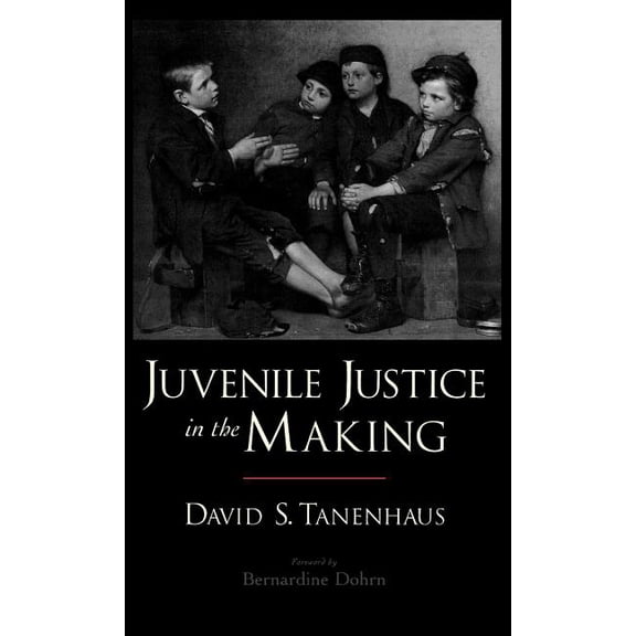 Studies in Crime and Public Policy Juvenile Justice in the Making, (Hardcover)