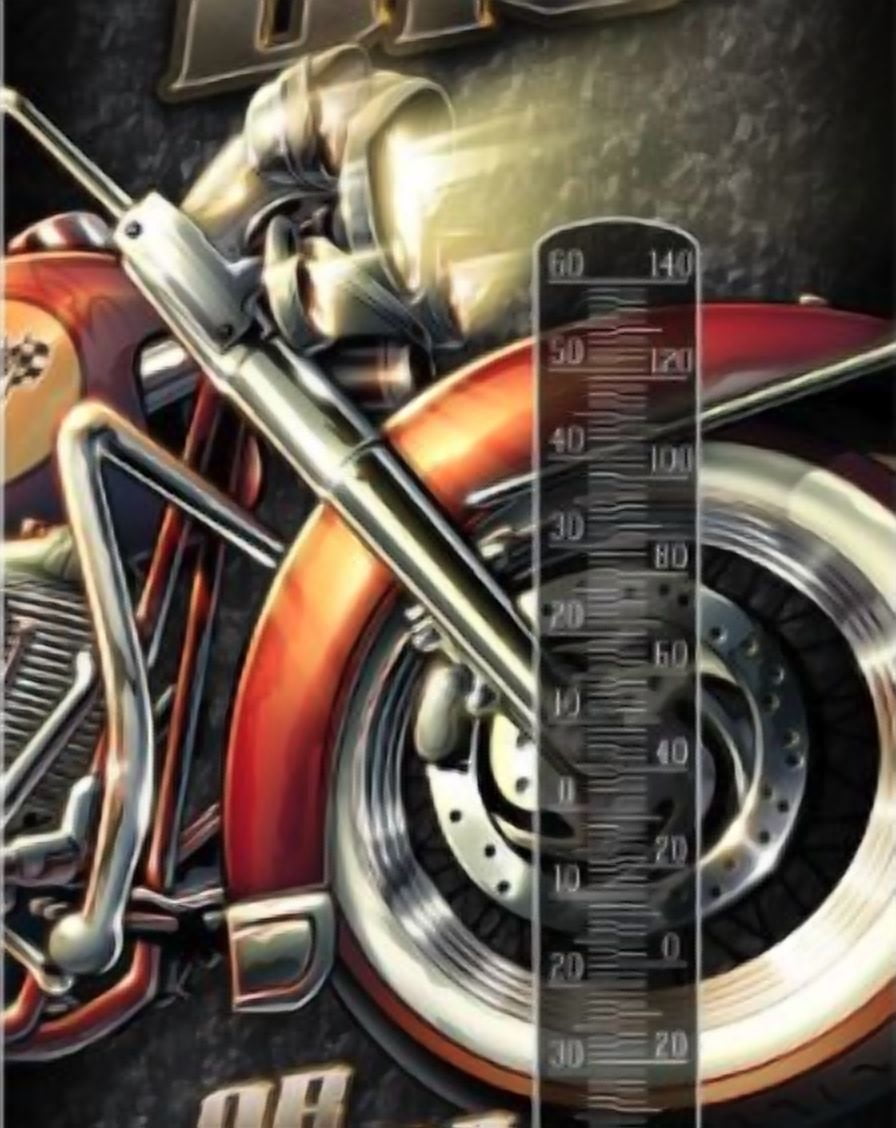 Thermometer Hanging Metal ~22 Gauge Metal Lithograph Print Measures 5" x 17" Indoors or Outdoors {Go Big or Go Home}