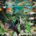thumbnail image 4 of Large Reptile Branch Decoration Tank Accessories For Snake Lizard Leopard Gecko, 4 of 8