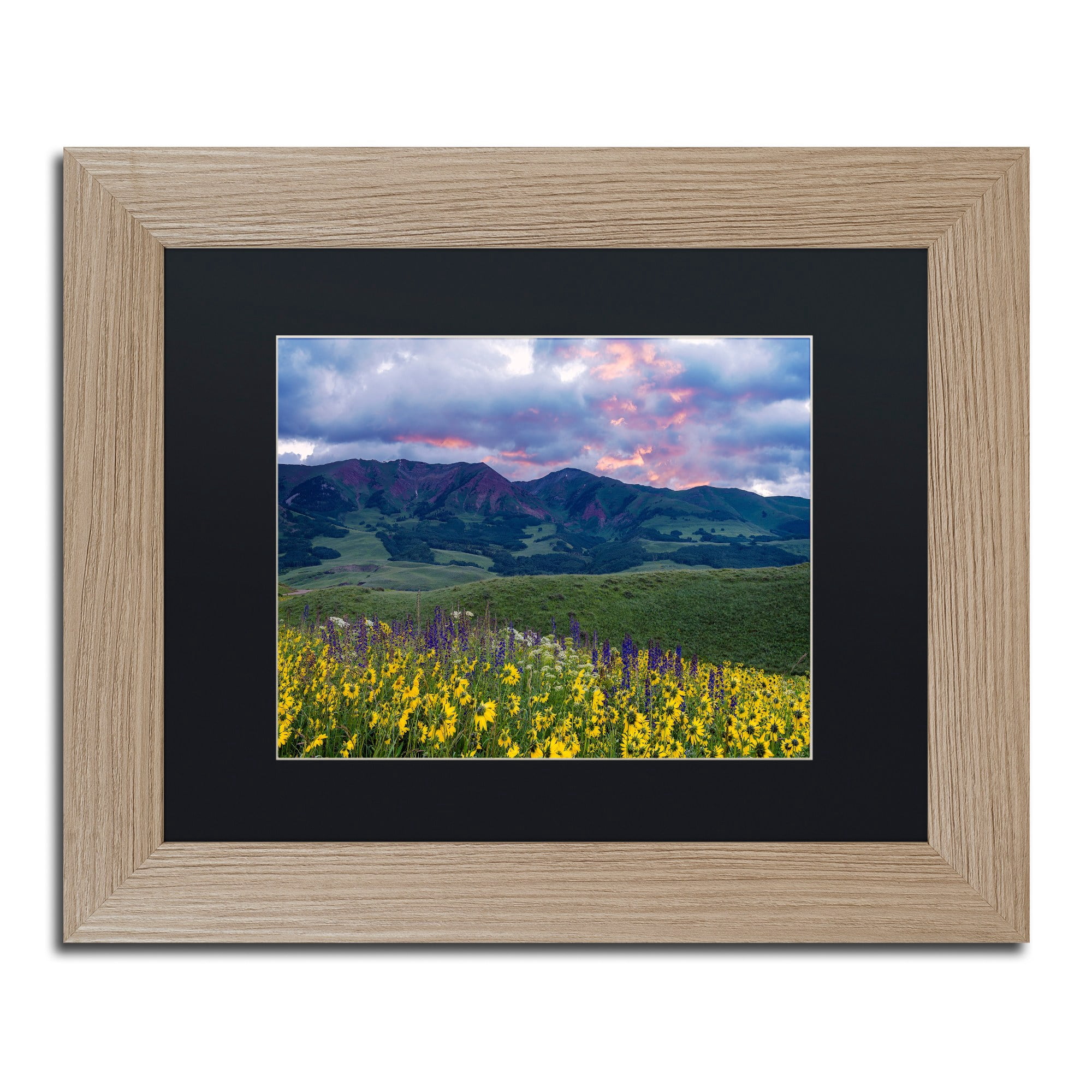 Trademark Fine Art "Crimson Flare" Canvas Art by Michael Blanchette Photography Black Matte, Birch Frame