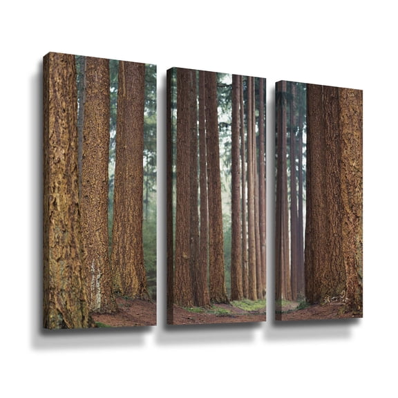 Artwall Bars, 3 Piece Gallery Wrapped Canvas Set by Martin Podt