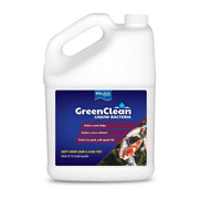 GreenCleanFX Liquid Algaecide - Controls Algae - 128 fl oz Bottle by BioSafe
