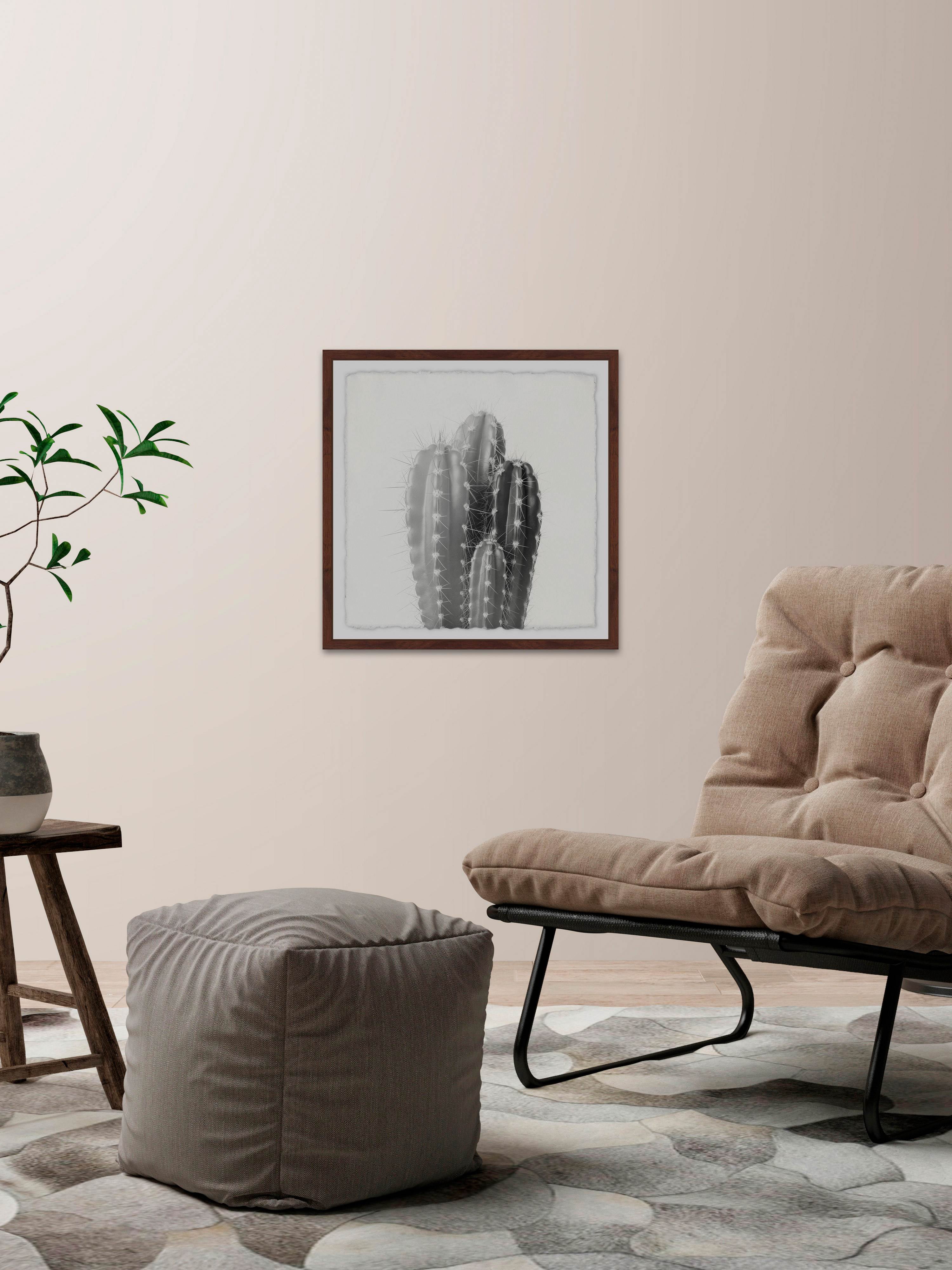 Four Cacti Framed Painting Art Print, 32.00" x 1.50"