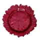 thumbnail image 1 of Plato de cena Plato de servicio decorativo Plato de comida occidental irregular con diseño floral de vidrio Rojo, 1 of 9