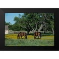 thumbnail image 2 of Highsmith, Carol 14x11 Black Modern Framed Museum Art Print Titled - Horses grazing on a meadow in the Lyndon B. Johnson National Historical Park in Johnson City, TX, 2 of 5