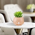 thumbnail image 4 of Plant Pots Guozer Pots for Plants 1PCS Indoor Planters Small Plant Pots Tabletop Decoration Ornament Flower Pots for Indoor Plants, 4 of 6