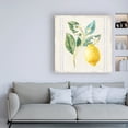 thumbnail image 3 of Trademark Fine Art 'Flour sack Lemons I Sq Navy' Canvas Art by Danhui Nai, 3 of 3