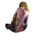 thumbnail image 2 of Balery Adorable Fluffy Bat Funda de Asiento para Auto con Diseño - Cubierta Frontal Suave y Transpirable con Protector Antideslizante- 1 Unidad, 2 of 5