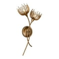 thumbnail image 3 of Protea 2-Light Wall Sconce in Manchester by Breegan Jane, 3 of 5